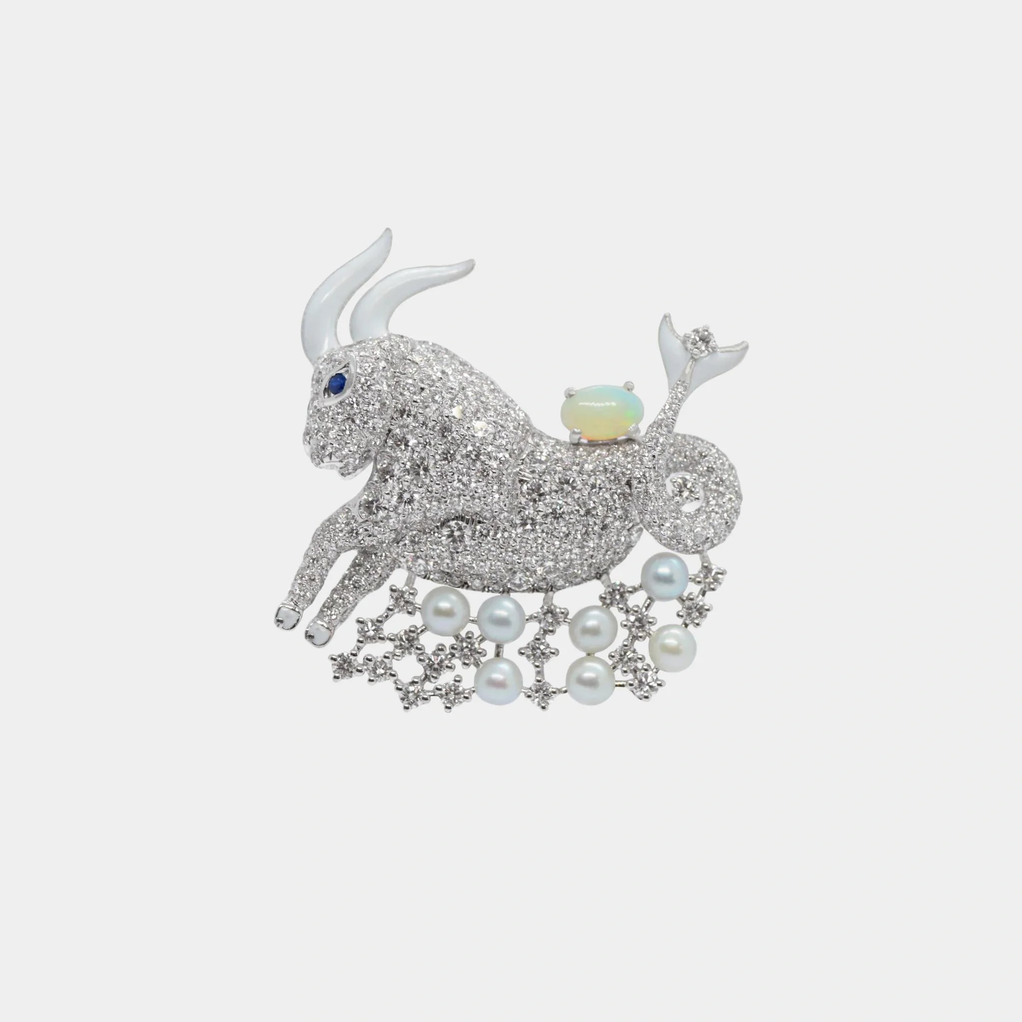 Zodiac Customized Bag Bijoux Capricorn