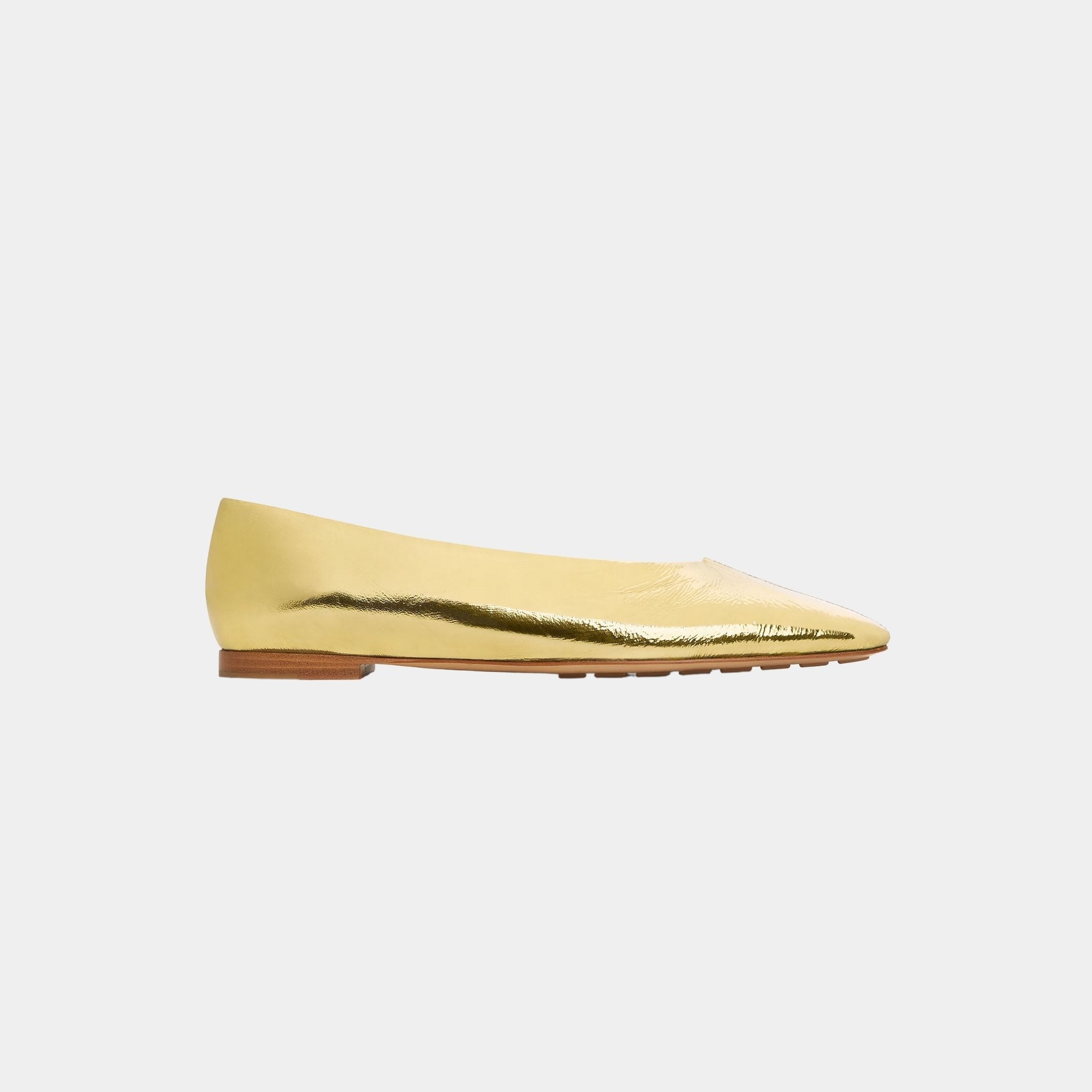 Sofia Ballerina Supple Construction in Reflective Goatskin