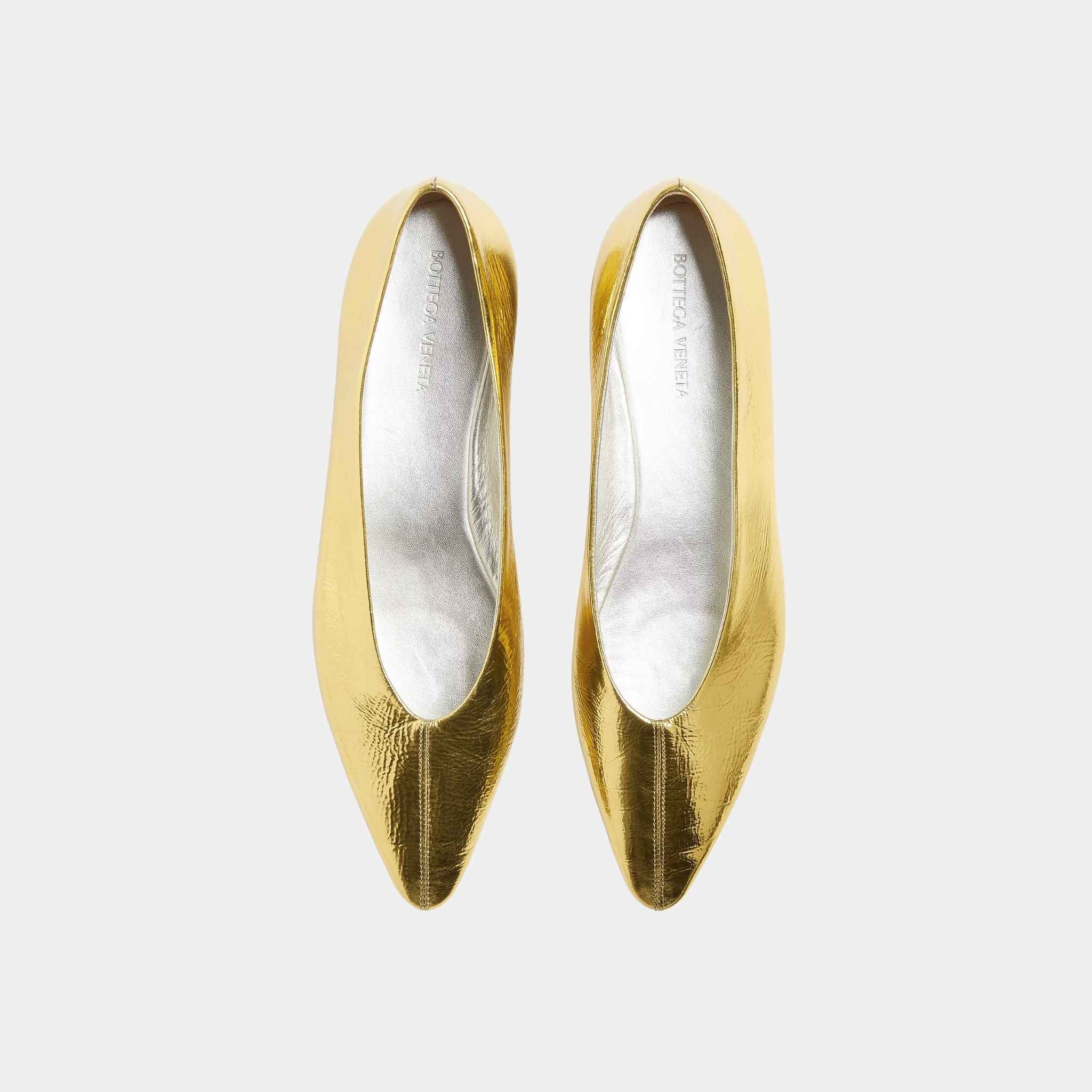 Sofia Ballerina Supple Construction in Reflective Goatskin