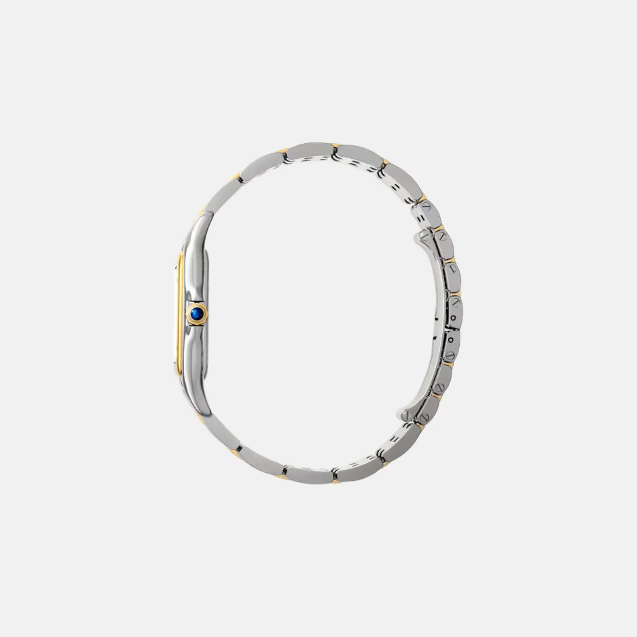 Panthere Large Model Yellow Gold Steel W2PN0012