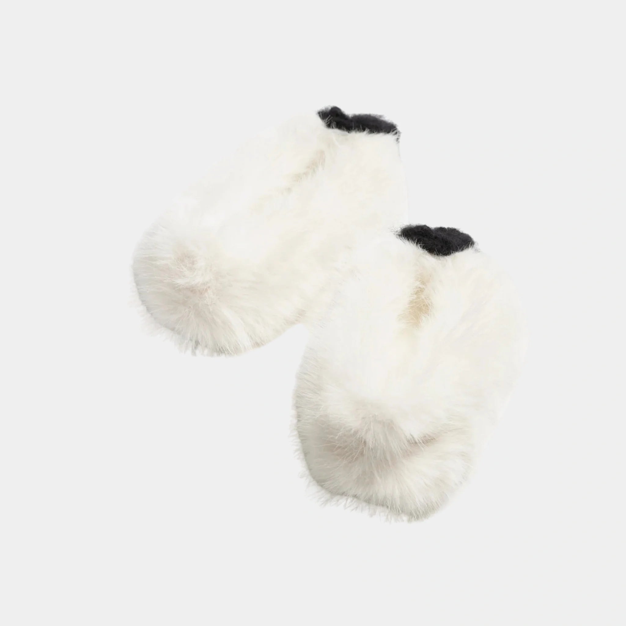 Ballet Flats in Mixed Fibers & Patent Calfskin