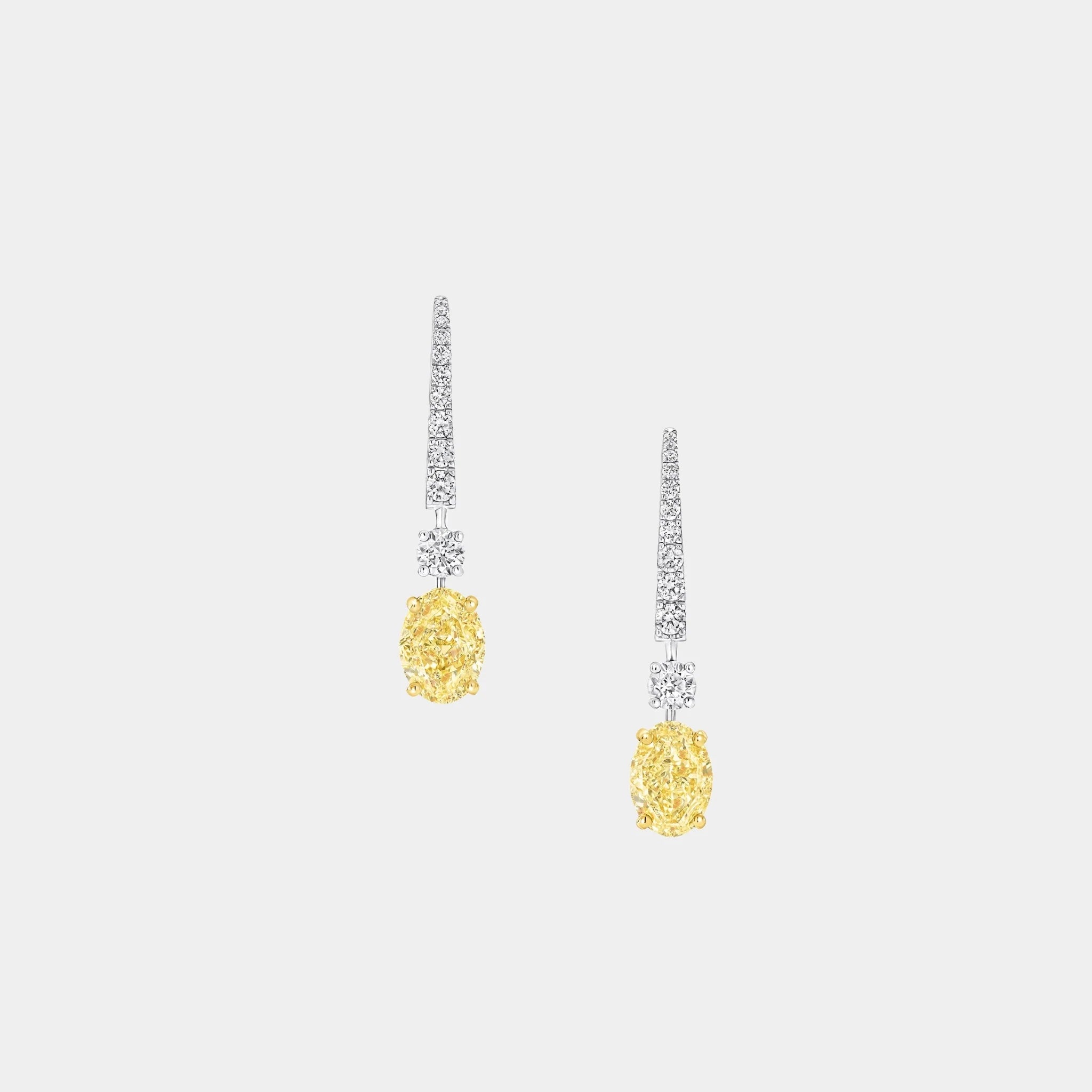 Classic Graff Oval Yellow Diamond Solitaire Earrings
