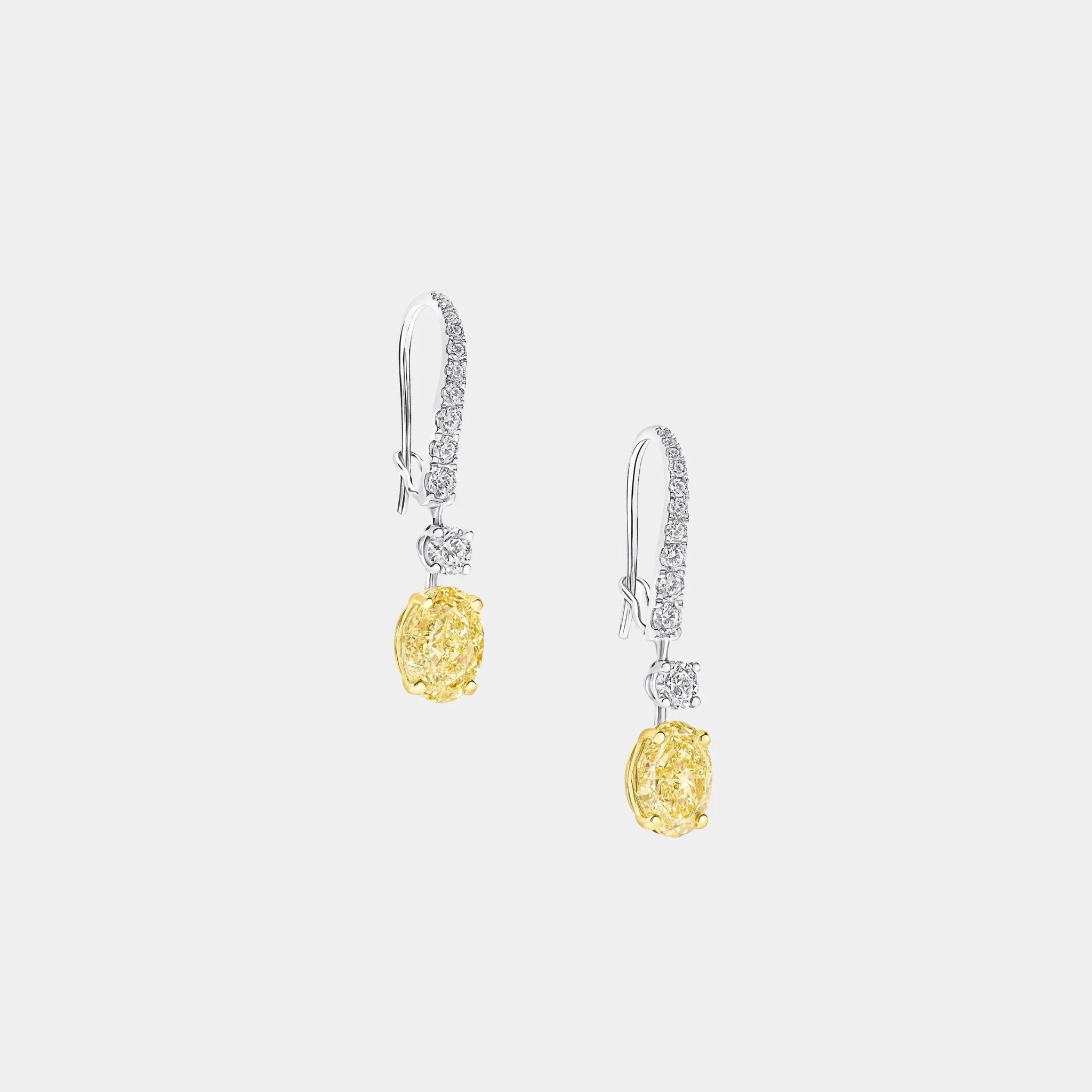 Classic Graff Oval Yellow Diamond Solitaire Earrings