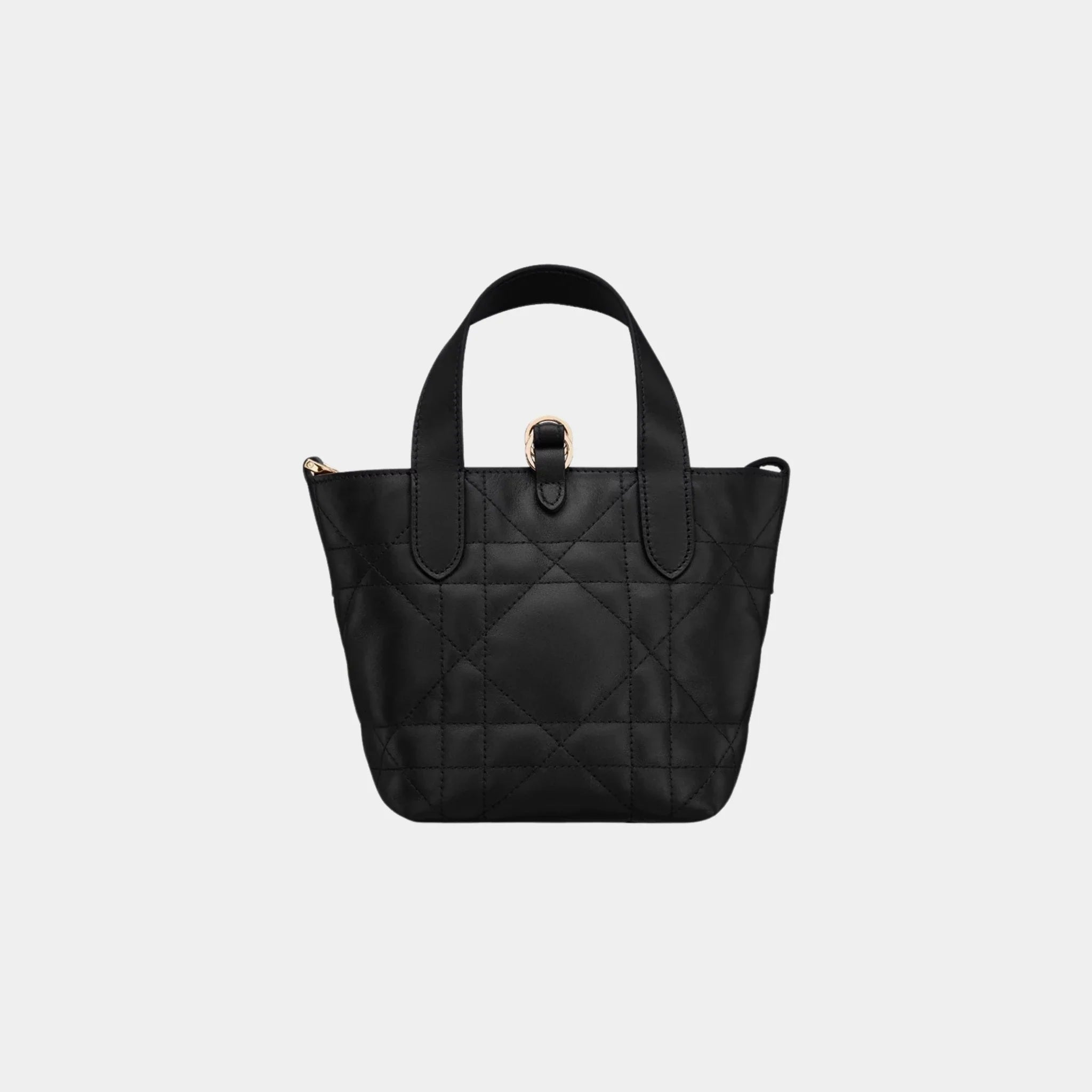Toujours Vertical Nano Tote Bag