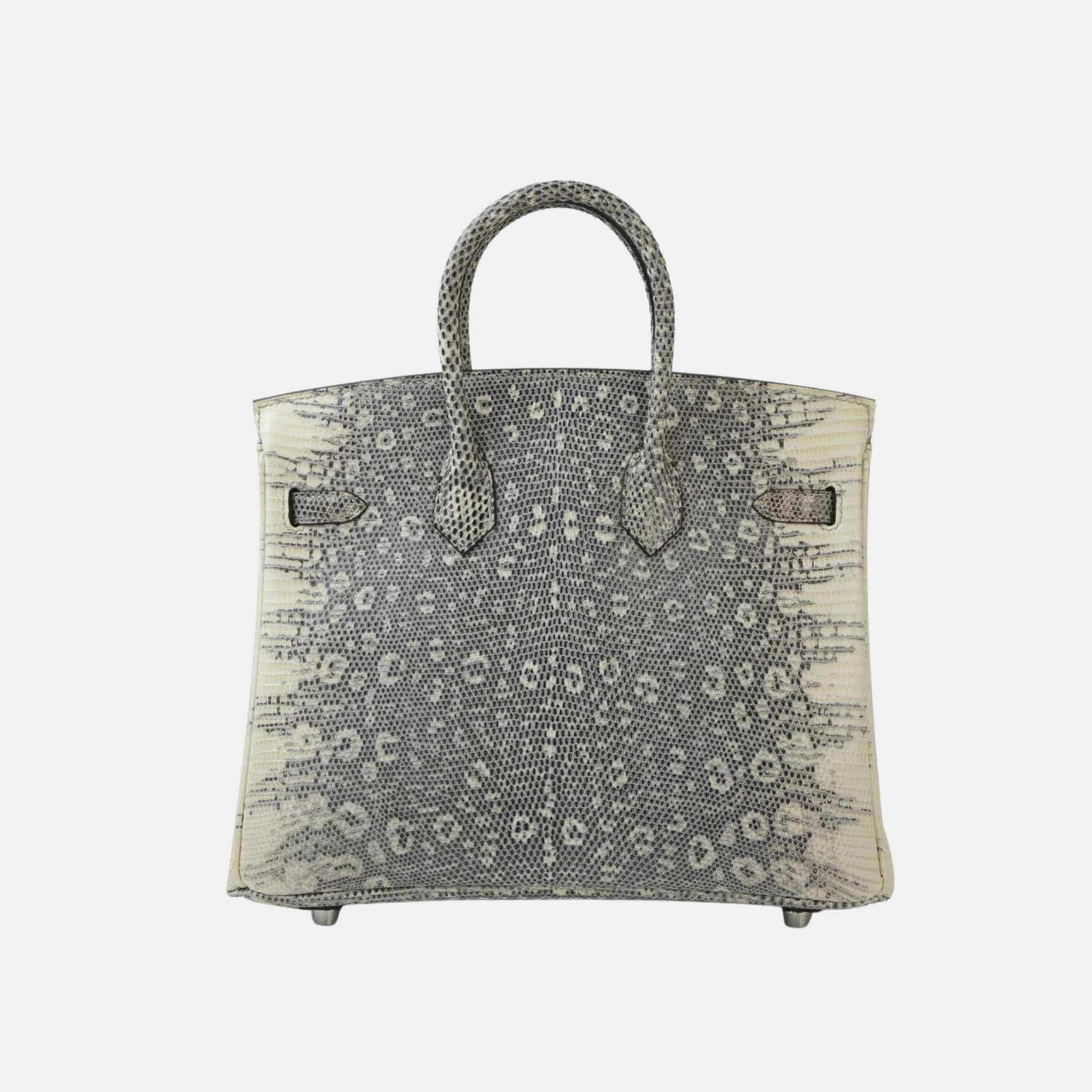 Birkin 25 Lizard Ombre PHW