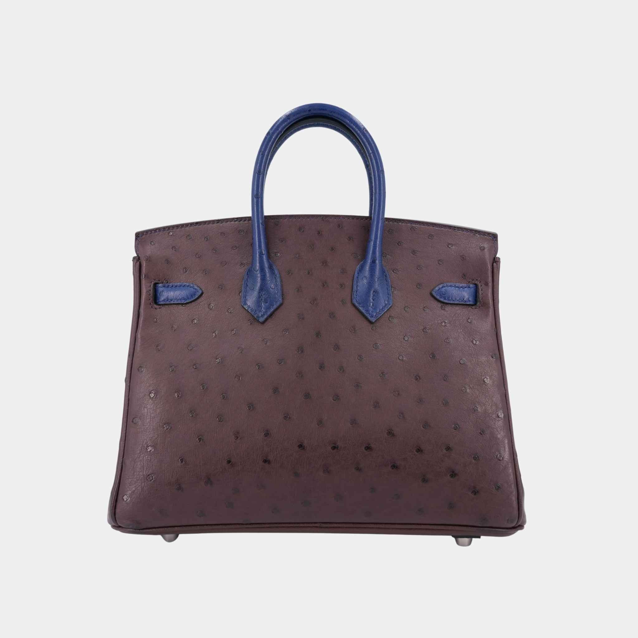Birkin 25 Ostrich Rouge Sellier/Bleu Iris PHW