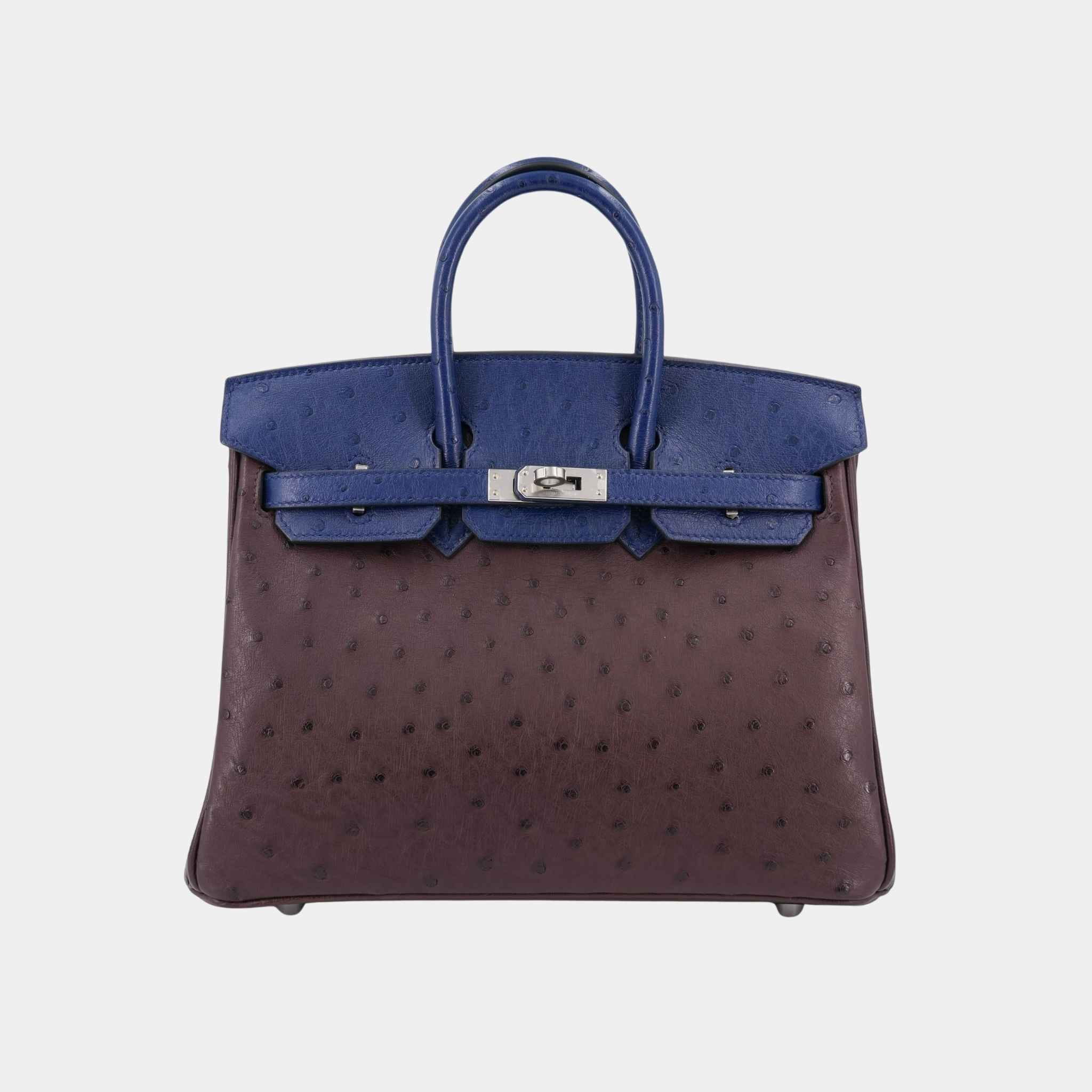 Birkin 25 Ostrich Rouge Sellier/Bleu Iris PHW