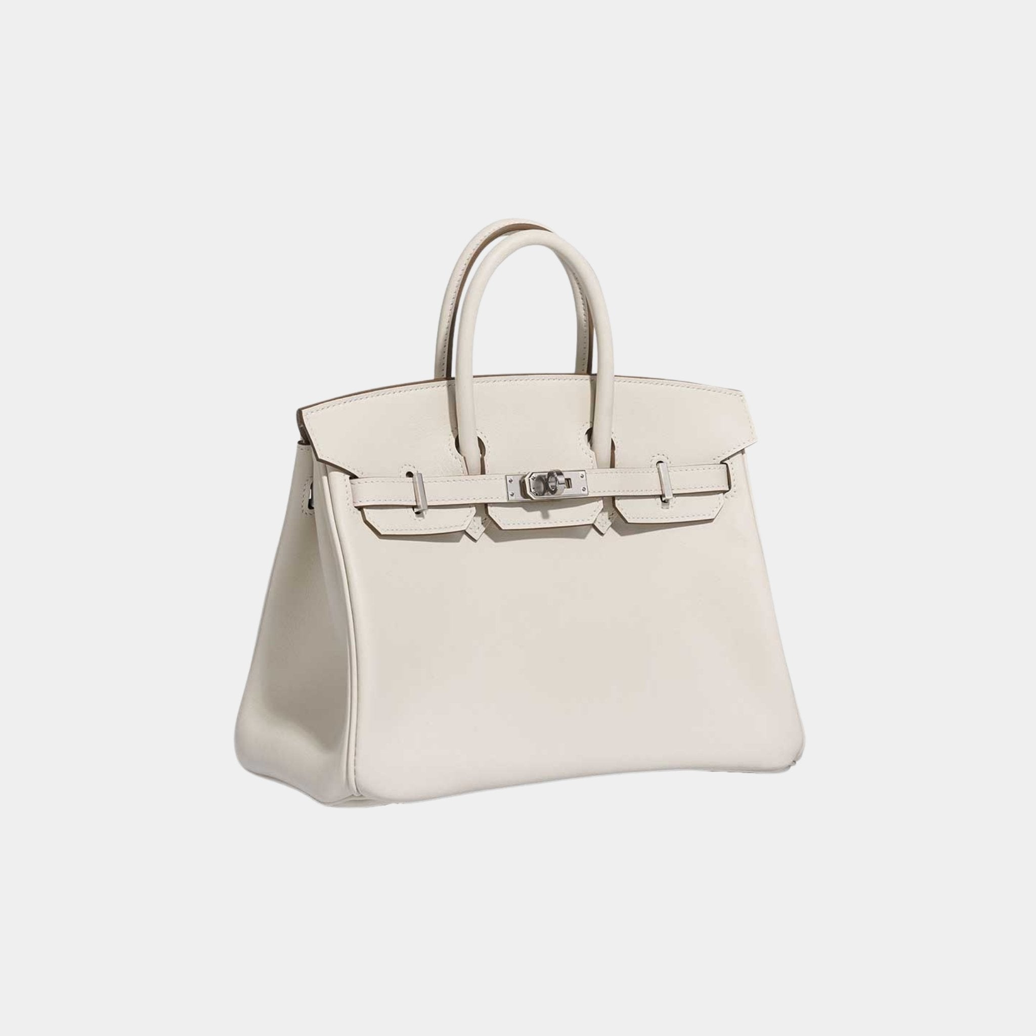 Birkin 25 Swift Mushroom