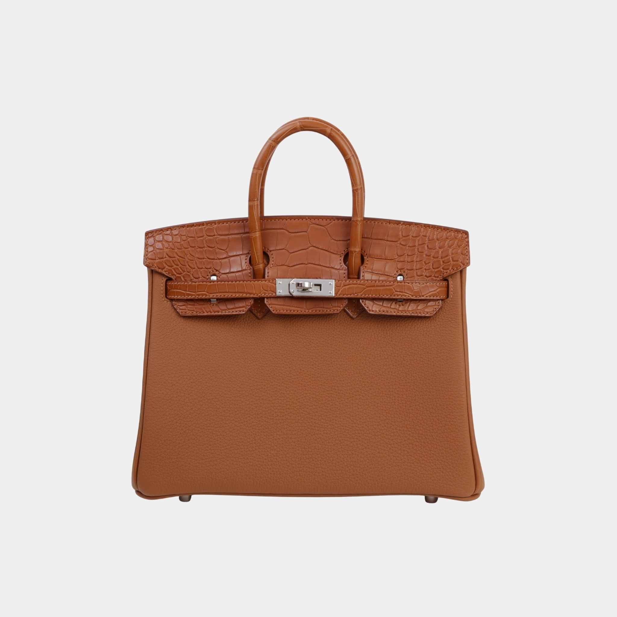 Birkin 25 Touch Matte Alligator Togo PHW