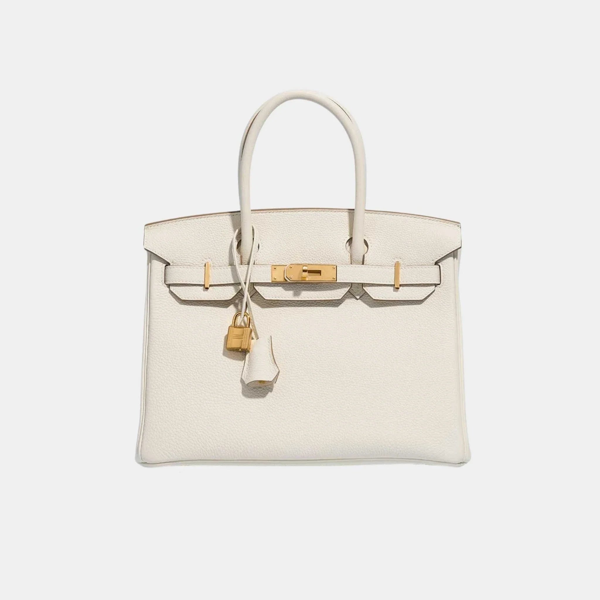 Birkin 30 Togo Mushroom GHW