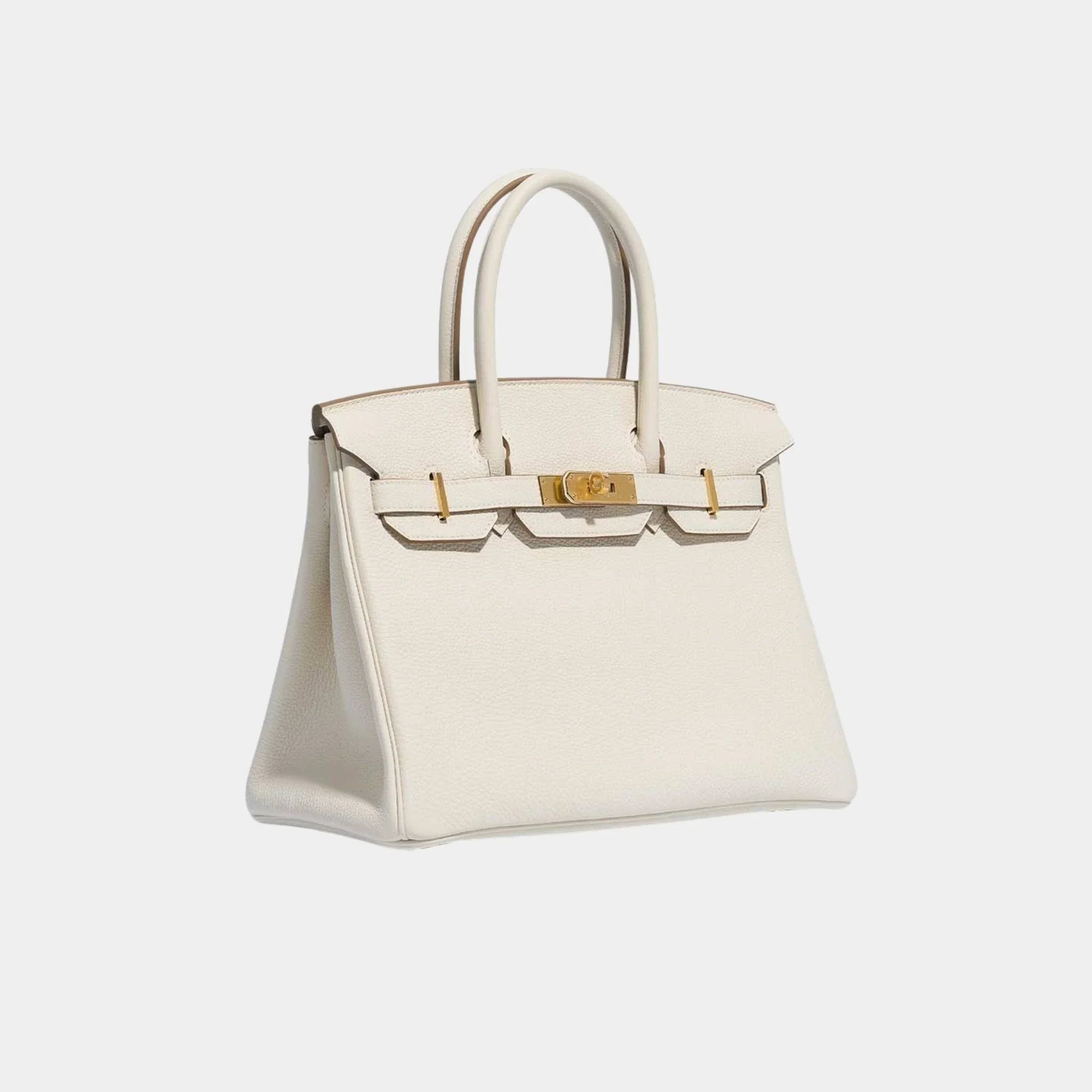 Birkin 30 Togo Mushroom GHW