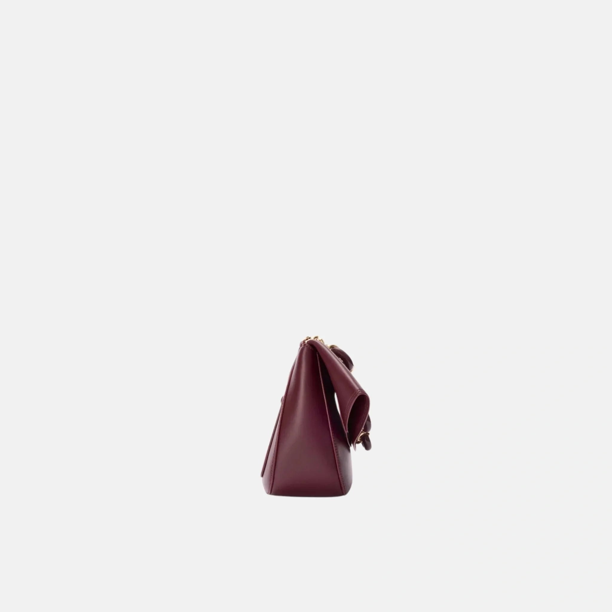 Medium Ola Bag in Smooth Calfskin