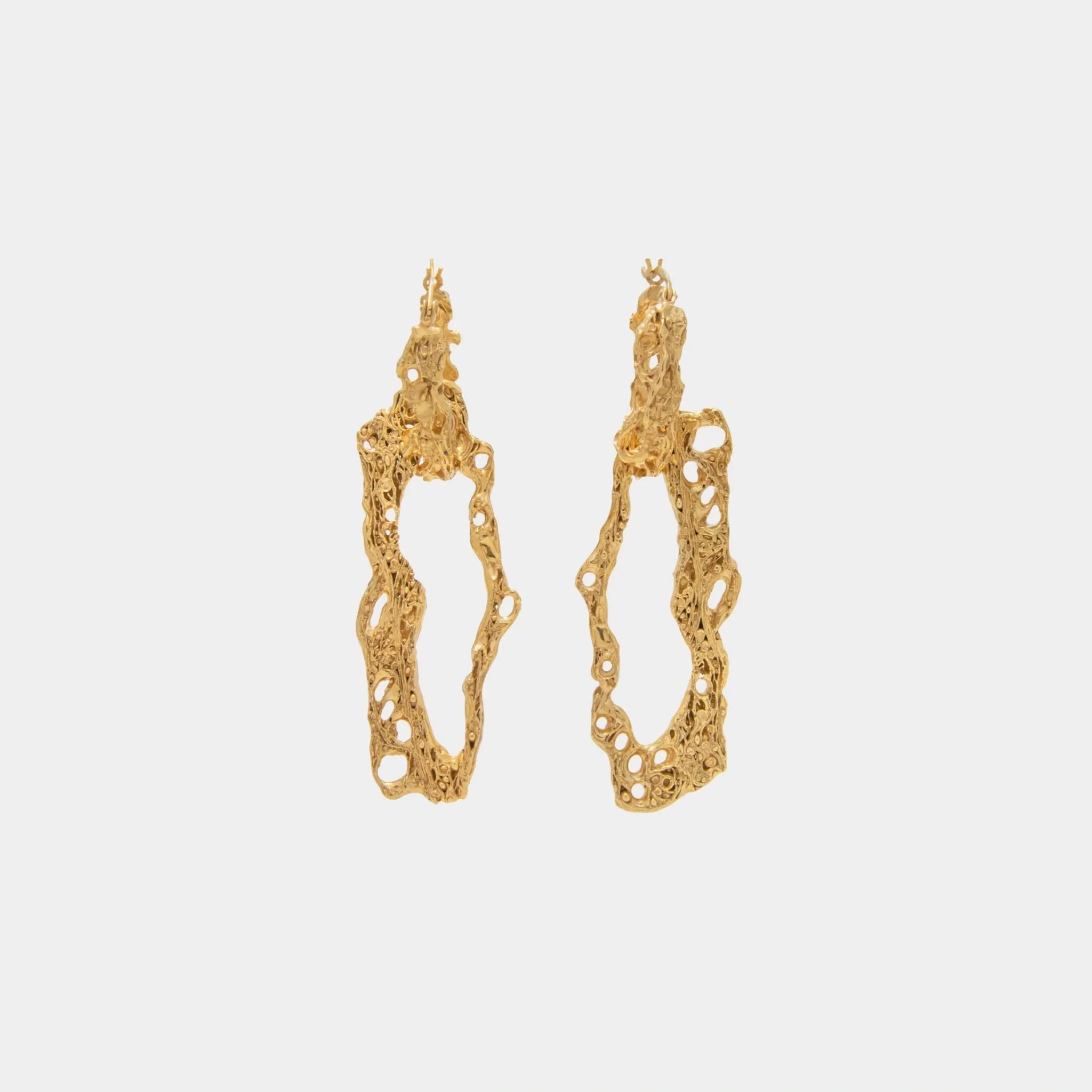 Loveness lee Espostoa Gold plated  Earrings, Front