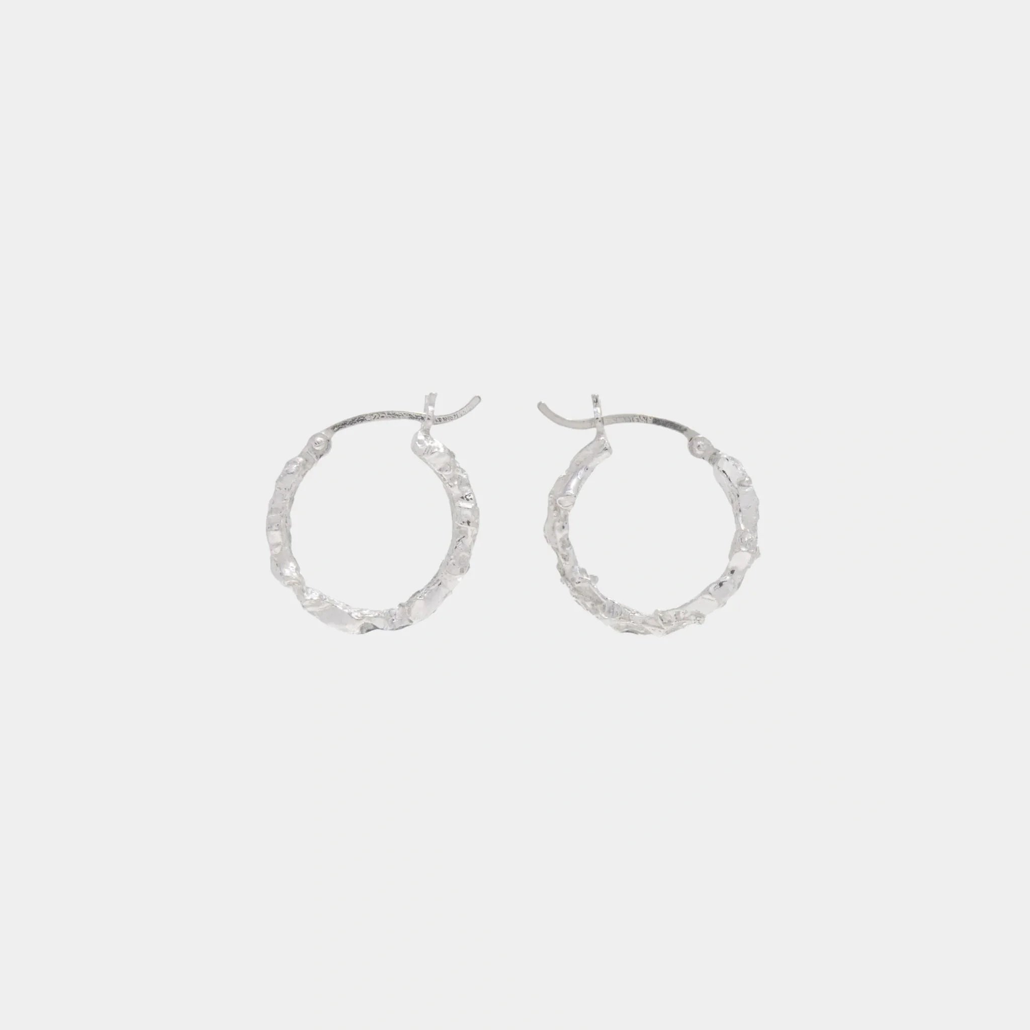 Rebutia Small Earrings