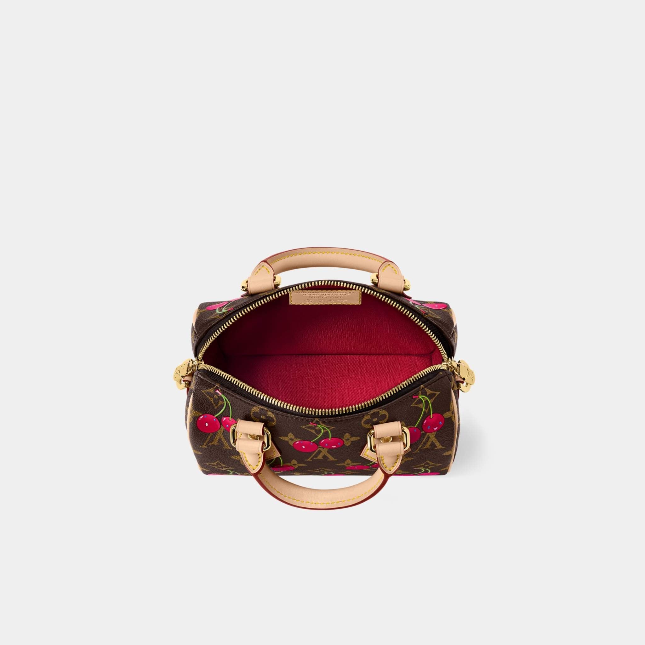 LV x TM Speedy Shoulder Bag 20