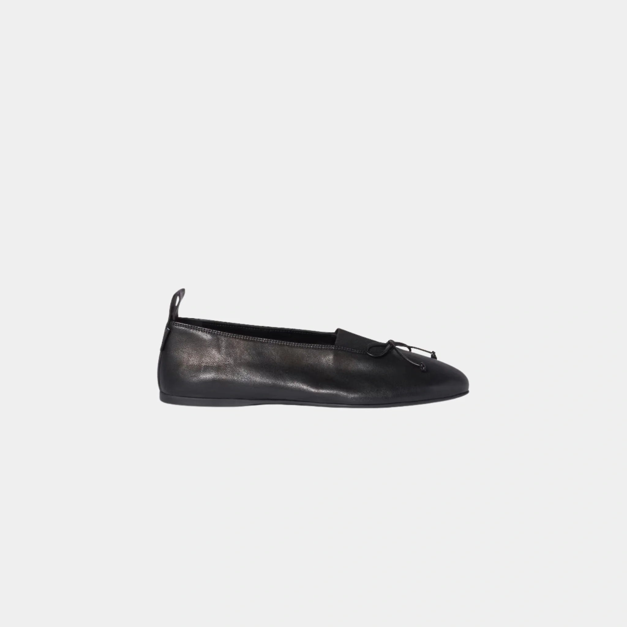 Elan Nappa Leather Ballerinas in Lambskin