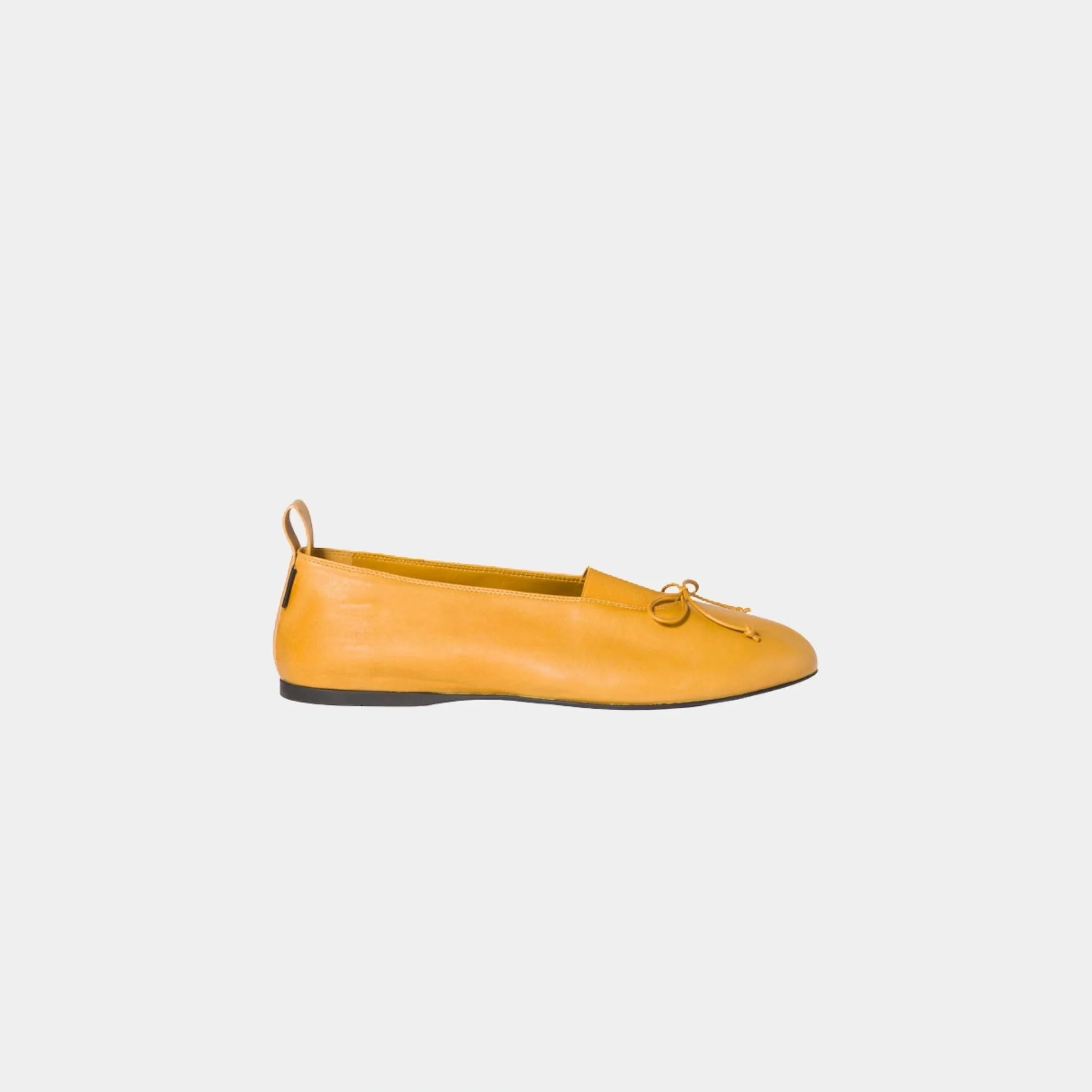 Elan Nappa Leather Ballerinas in Lambskin