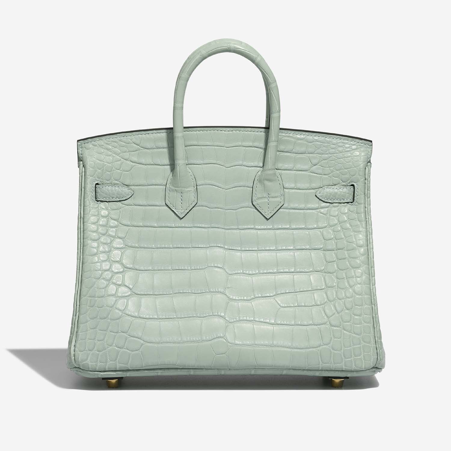 Birkin 25 Matte Alligator Vert d'Eau