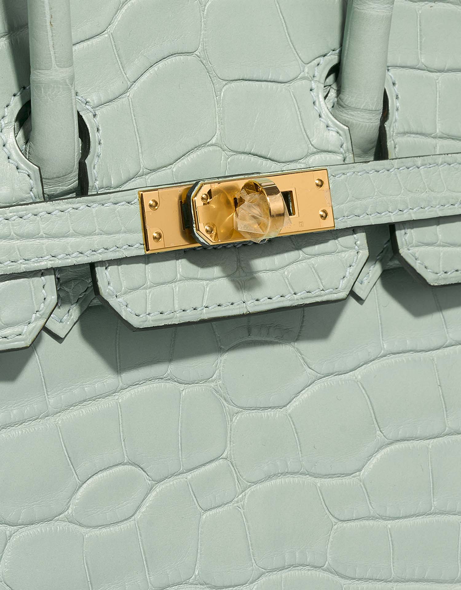 Birkin 25 Matte Alligator Vert d'Eau